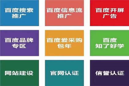 百度竞价排名实战：某行业领先企业的成功之路